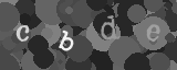Please type the characters of this captcha image in the input box