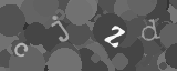 Please type the characters of this captcha image in the input box