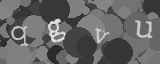 Please type the characters of this captcha image in the input box