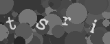 Please type the characters of this captcha image in the input box
