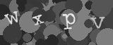 Please type the characters of this captcha image in the input box