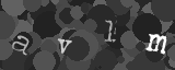 Please type the characters of this captcha image in the input box