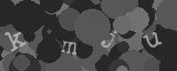 Please type the characters of this captcha image in the input box