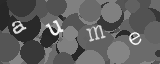 Please type the characters of this captcha image in the input box