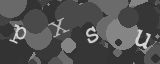Please type the characters of this captcha image in the input box