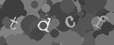 Please type the characters of this captcha image in the input box
