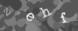 Please type the characters of this captcha image in the input box