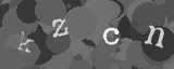 Please type the characters of this captcha image in the input box