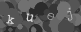 Please type the characters of this captcha image in the input box