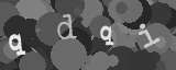 Please type the characters of this captcha image in the input box