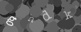 Please type the characters of this captcha image in the input box
