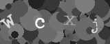 Please type the characters of this captcha image in the input box