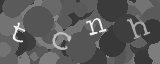 Please type the characters of this captcha image in the input box