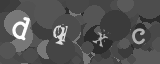 Please type the characters of this captcha image in the input box