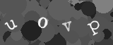 Please type the characters of this captcha image in the input box