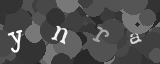 Please type the characters of this captcha image in the input box