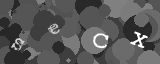 Please type the characters of this captcha image in the input box