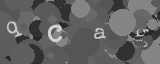 Please type the characters of this captcha image in the input box