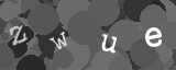 Please type the characters of this captcha image in the input box