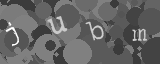 Please type the characters of this captcha image in the input box