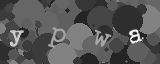 Please type the characters of this captcha image in the input box