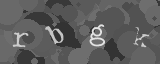 Please type the characters of this captcha image in the input box