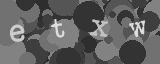 Please type the characters of this captcha image in the input box